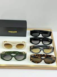 Picture of Roberto Cavalli Sunglasses _SKUfw75013233fw